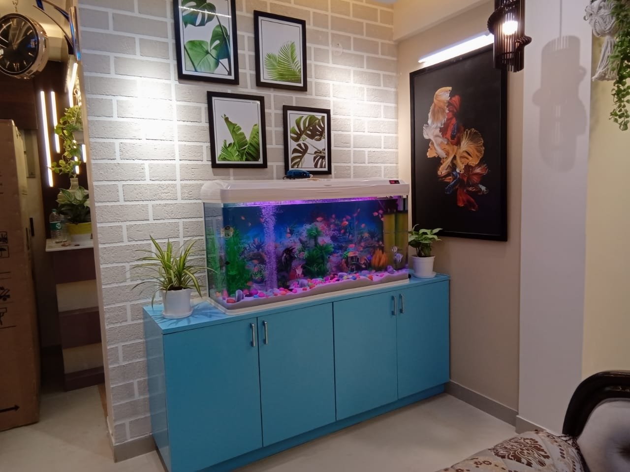 WhatsApp Image 2025-04-21 at 23.11.00 (2)